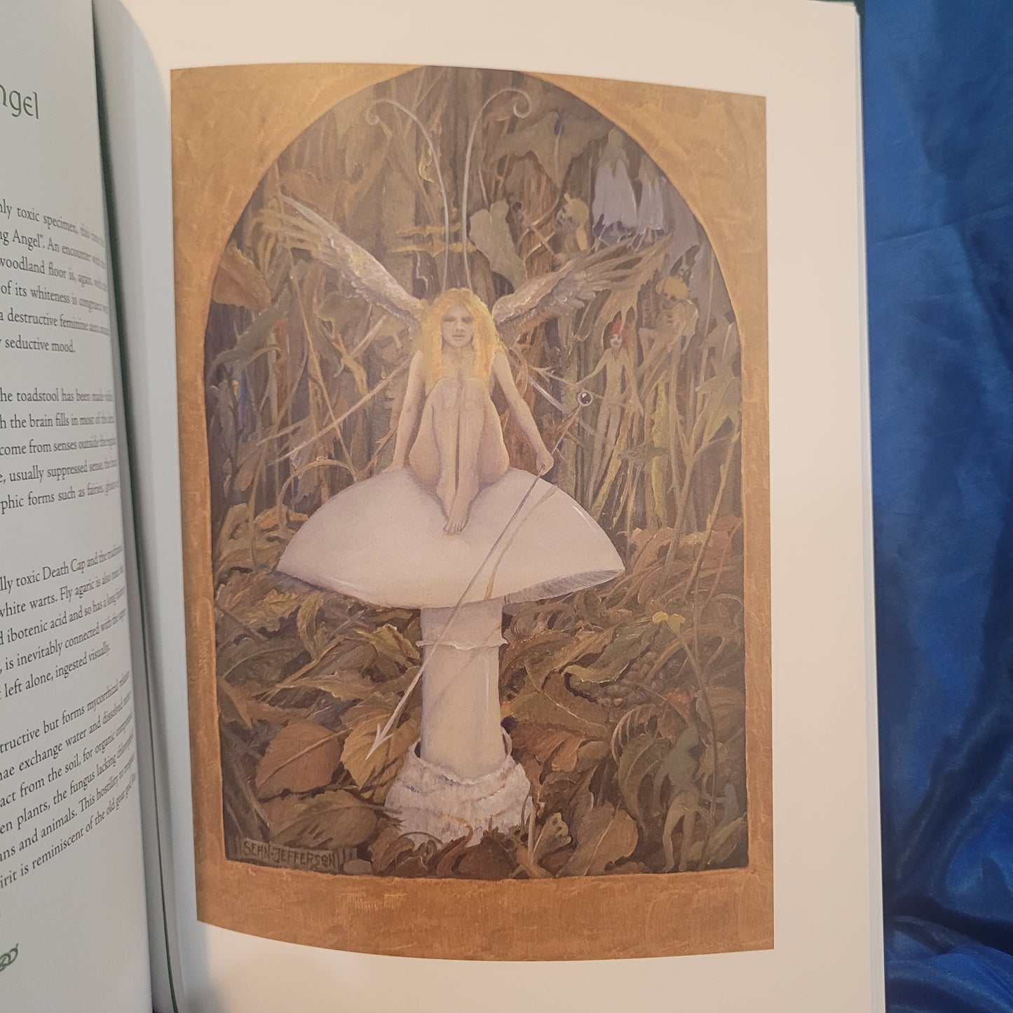 The Alchymical Garden of Michael Foy by Sean Jefferson (Theion Publishing, 2026) Fine  Hardcover Edition