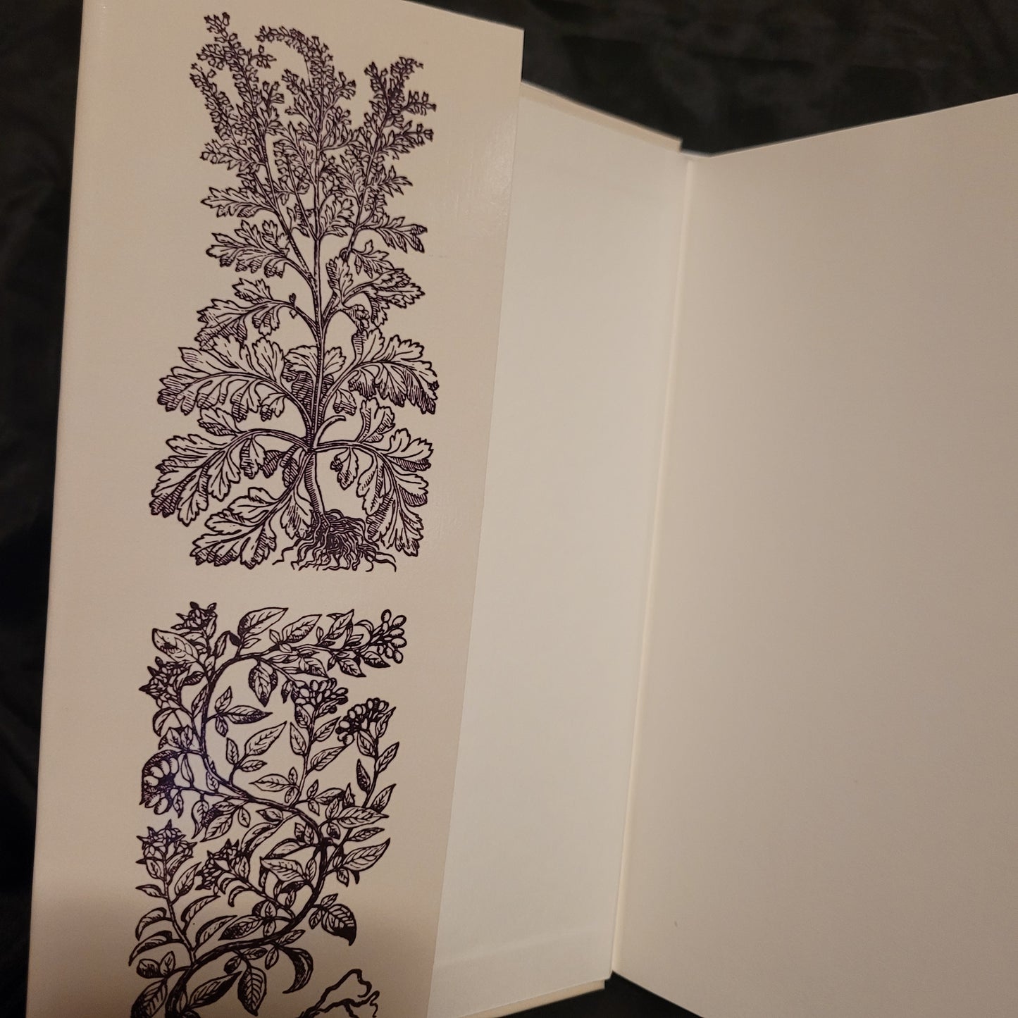 Under the Bramble Arch: A Folk Grimoire of Wayside Plant Lore and Practicum by Corinne Boyer (Troy Books, 2019) Dust Jacketed Hardback Edition