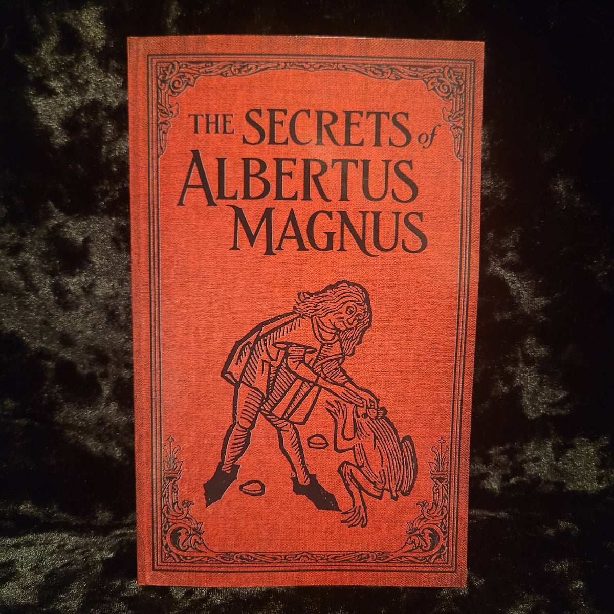 The Secrets of Albertus Magnus (Troy Books, 2026) Paperback