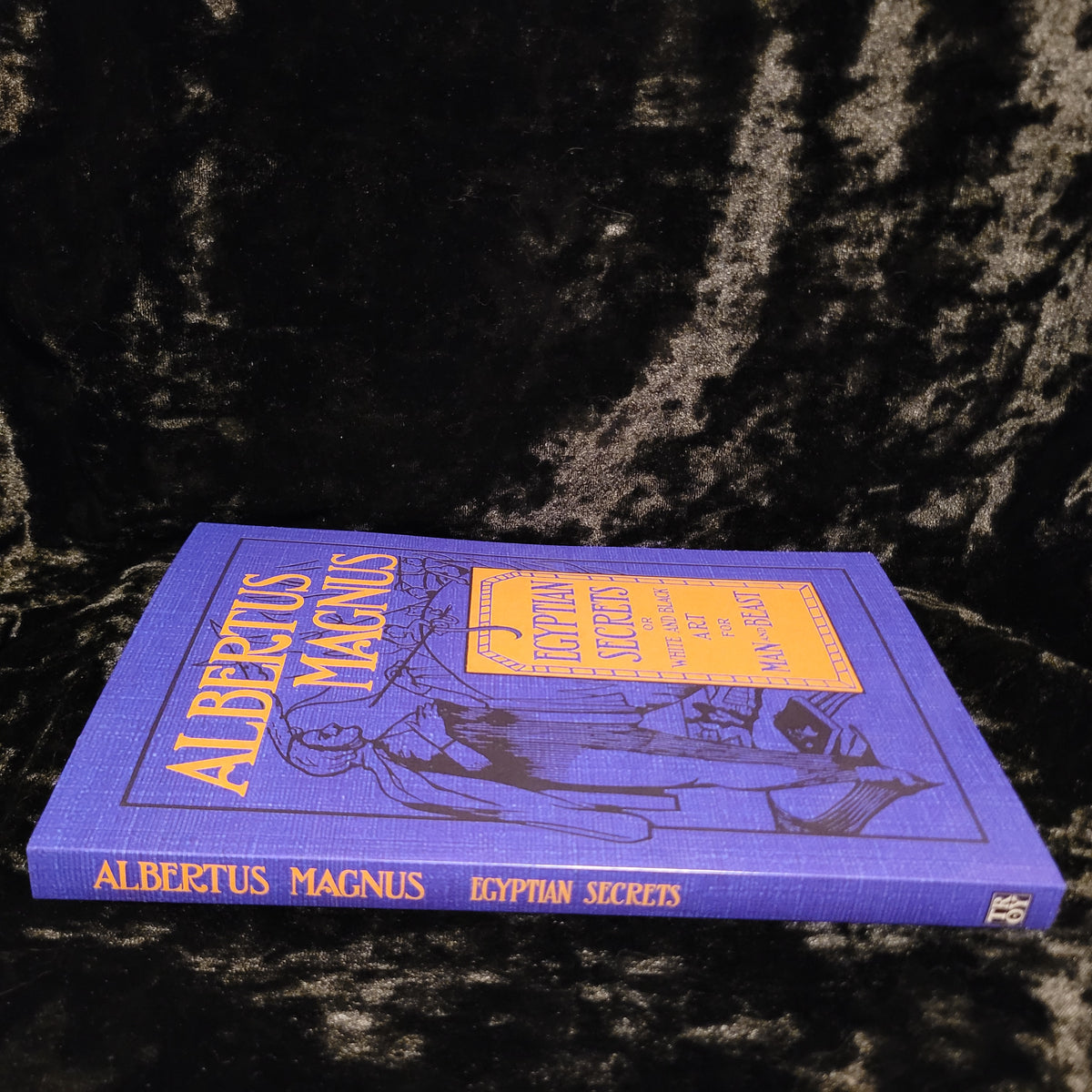 Egyptian Secrets of Albertus Magnus (Troy Books, 2026) Paperback