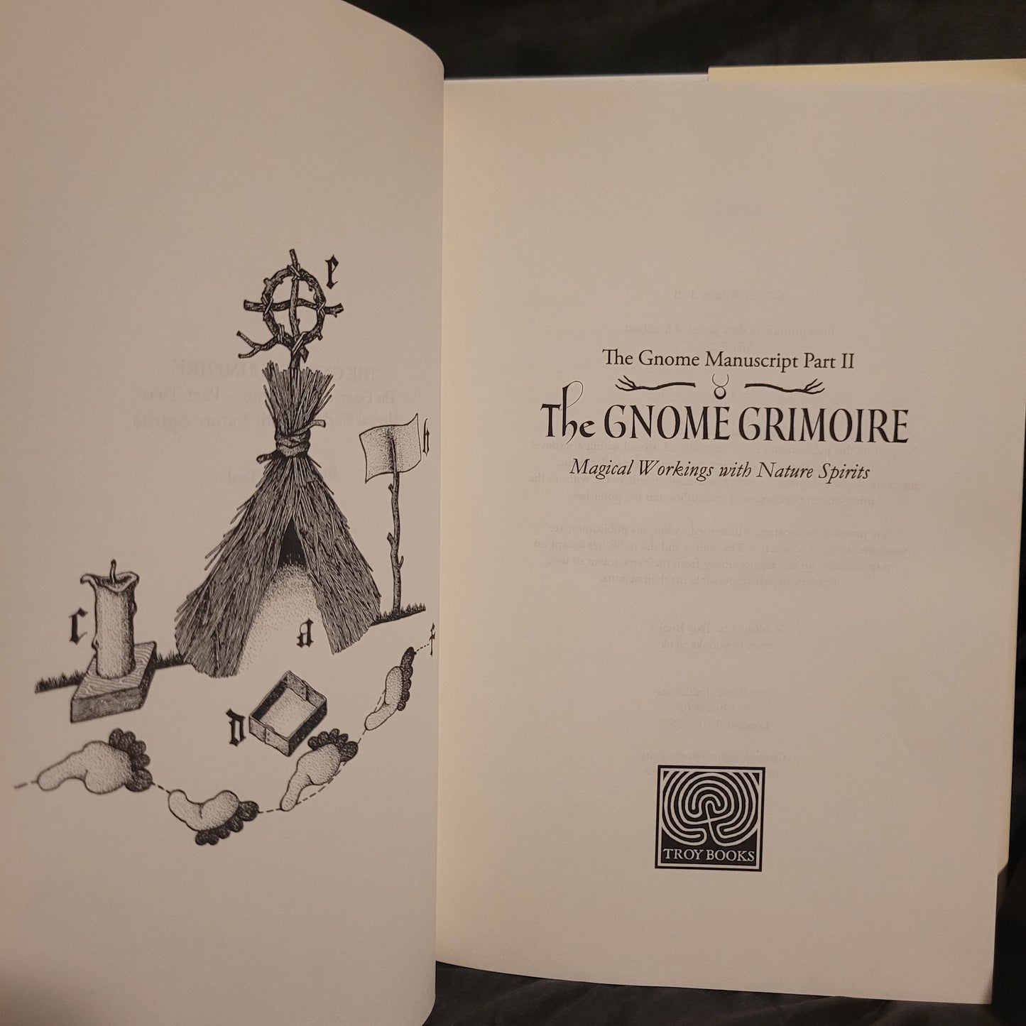 The Gnome Grimoire: The Gnome Manuscript – Part Two:
Magical Workings with Nature Spirits by Wilmar Tal (Troy Books, 2021) Dust Jacketed Hardback Edition