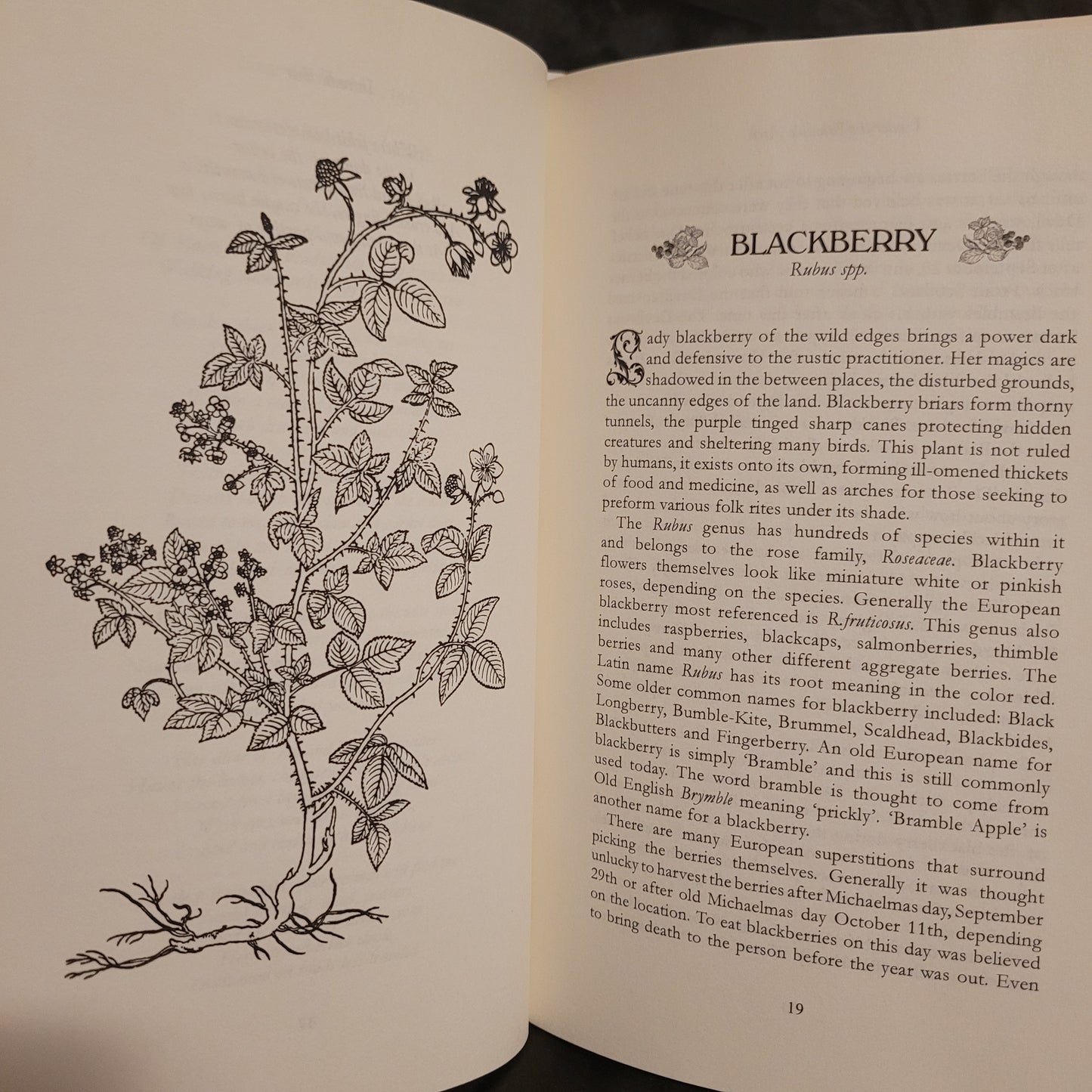 Under the Bramble Arch: A Folk Grimoire of Wayside Plant Lore and Practicum by Corinne Boyer (Troy Books, 2019) Dust Jacketed Hardback Edition