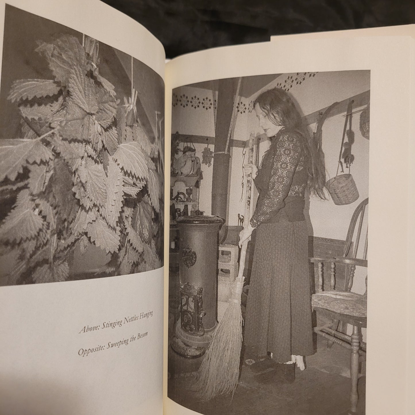 Under the Bramble Arch: A Folk Grimoire of Wayside Plant Lore and Practicum by Corinne Boyer (Troy Books, 2019) Dust Jacketed Hardback Edition