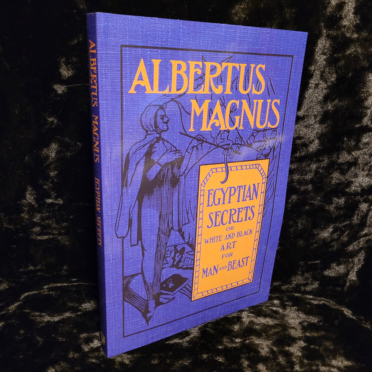 Egyptian Secrets of Albertus Magnus (Troy Books, 2026) Paperback