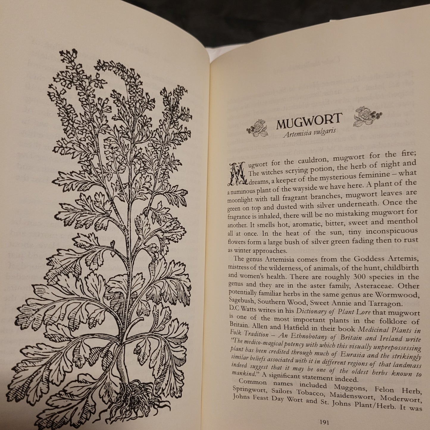 Under the Bramble Arch: A Folk Grimoire of Wayside Plant Lore and Practicum by Corinne Boyer (Troy Books, 2019) Dust Jacketed Hardback Edition
