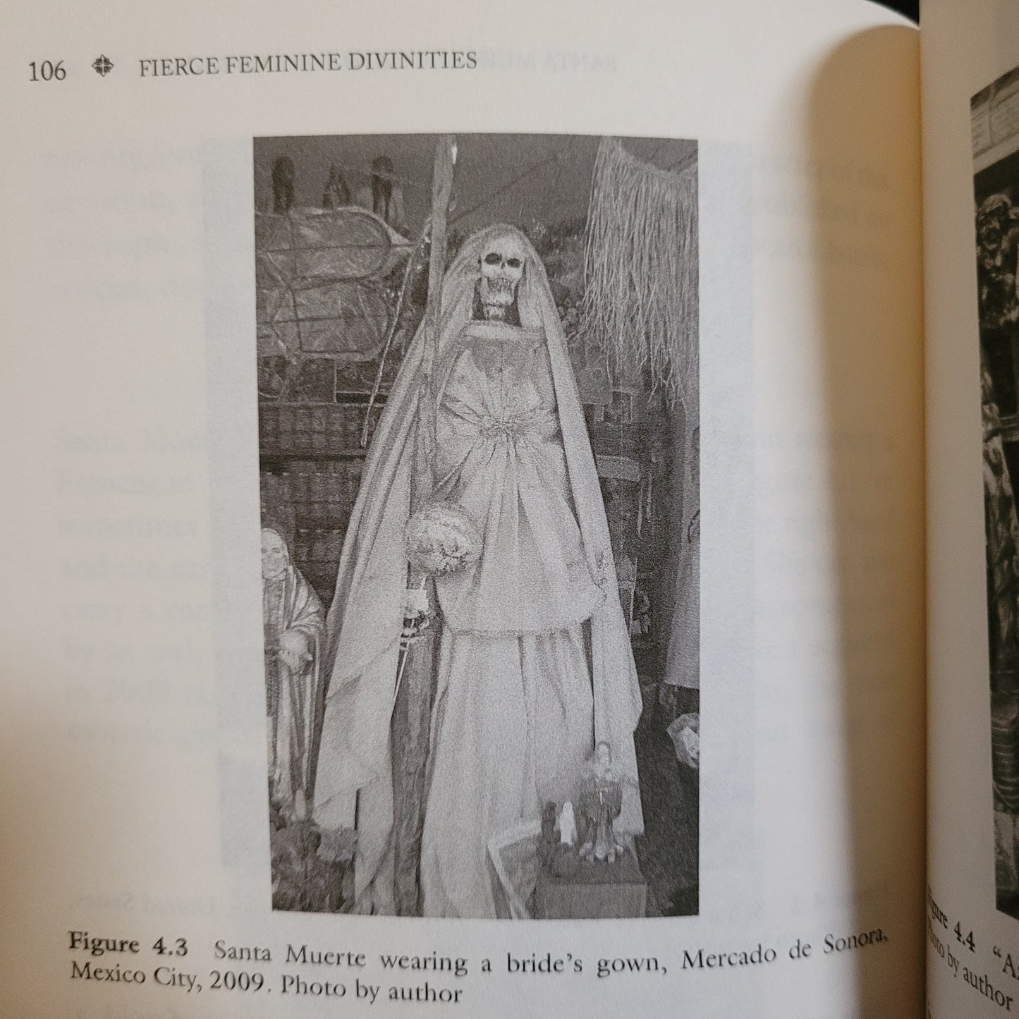 Fierce Feminine Divinities of Eurasia and Latin America: Baba Yaga, Kālī, Pombagira, and Santa Muerte byMałgorzata Oleszkiewicz-Peralba (Palgrave Macmillan, 2015) Paperback Edition