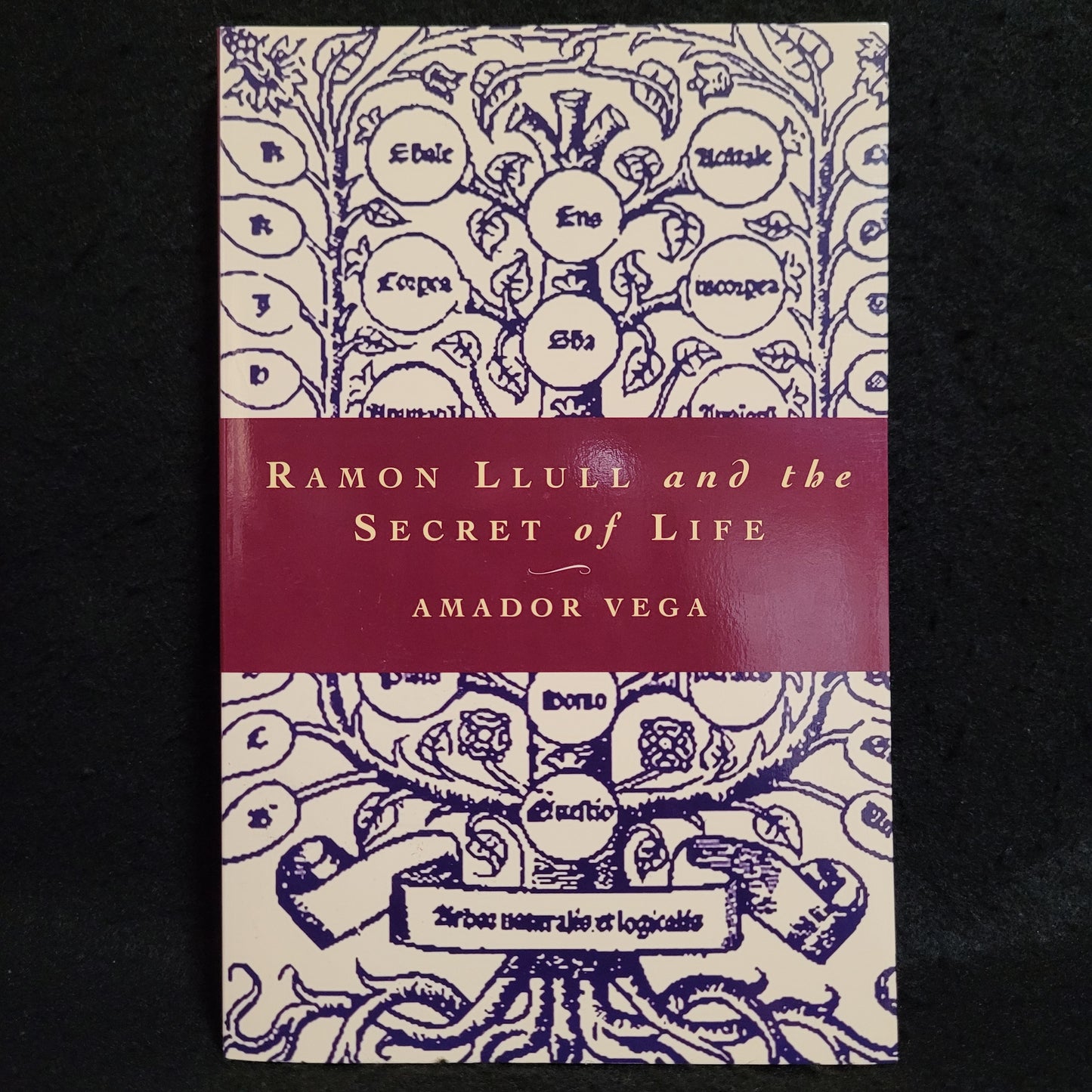 Ramon Llull and the Secret of Life by Amador Vega (The Crossroad Publishing Company, 2002) Paperback
