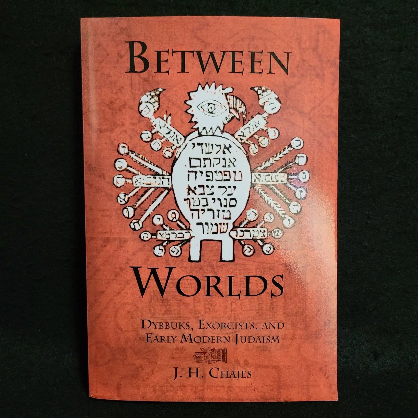 Between Worlds: Dybbuks, Exorcists, and Early Modern Judaism by J.H. Chajes (University of Pennsylvania Press, 2003) Paperback