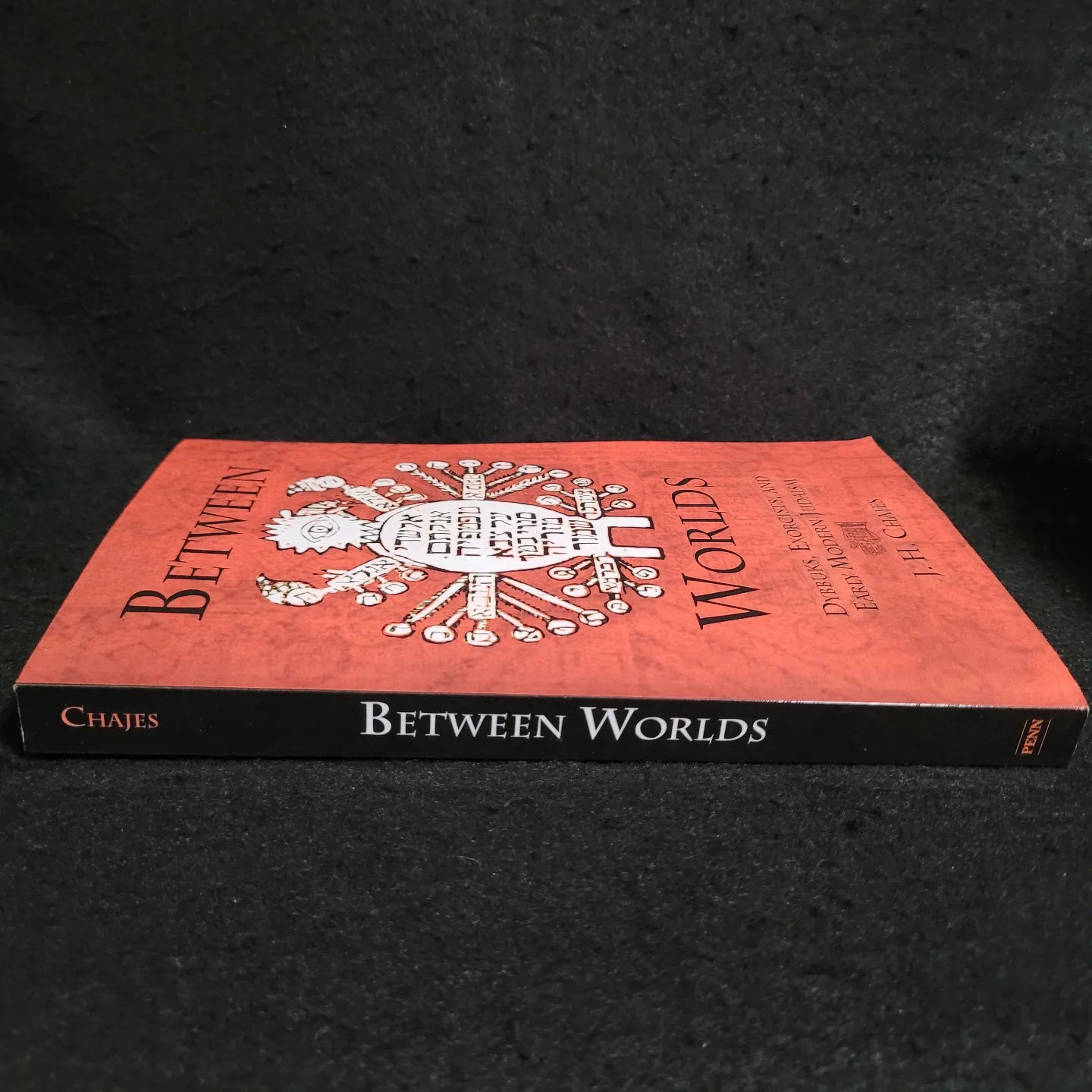 Between Worlds: Dybbuks, Exorcists, and Early Modern Judaism by J.H. Chajes (University of Pennsylvania Press, 2003) Paperback